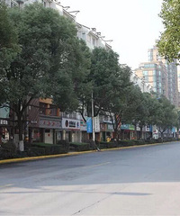 �������ٰ�����������·�䡰�Ϲܽ֡� Υͣ�������