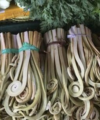 "最近说美味蕨菜竟然致癌,这是真的吗?"
