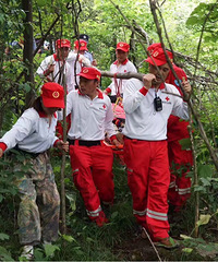 ¿�����ٰ�������ˤ�� ��Ԯ�Ӹ����ߴ���ϣ��