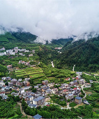 Сɽ������������ʱ�����ͬ����������塰�����桱