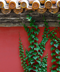 �ٰ�19¥ 2017�꡾���¡����ġ�ÿ�մ�ǩ����