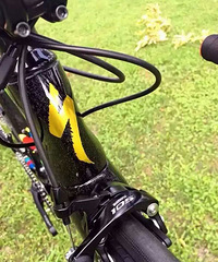 []Ͽͻȥ ϰ徹ȻҲҪȥ