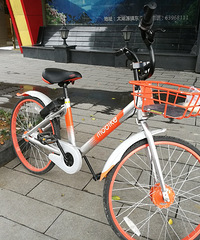 ���������ġ����Ϲ�������