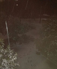 [ɹһɹ]˼ҵҵڳѩСҰ