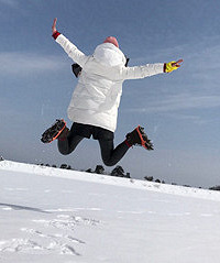 看雪去这里就行了