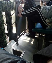 [�²�]�����������������������ʲô���ܣ�