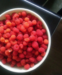 [����]���ܵ�19¥���ѣ��ٰ���������������ժ���ӣ�