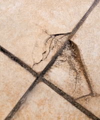 [Ӧ]Ǻ԰ǽ䣬Ҽⷿôˣ