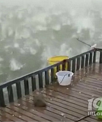 �ٰ���ɽ���±����ˣ�