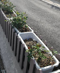 [����]�¼������豻�˱��ߣ���ʣ��û������