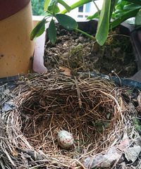 [����]��մմϲ�����Ҽҵ�����ֻ�����������������