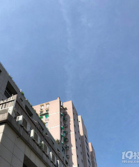 ɹ����ͷ����һƬ���ٰ�������