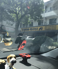 [����]�޳��͸�ҽԺ�Һ�һ������һ�θ�һ��