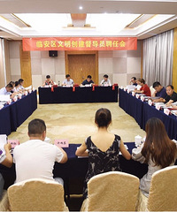 临安区成立文明创建督导团 金版主【小金跑现场】有了官方的认可