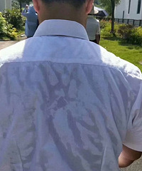 [����]������Ϊ���������ۺܺ�׬Ǯ��