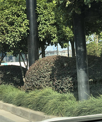 ����Ϊ��������ÿ�ο���ת�䶼�ľ���ս