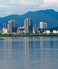 ���������Ͷ��Ʊ����������