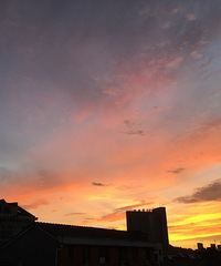 7.27���ճ��ֱ���ץ�ĵ�����ǰ��������ȷʵ��զ��