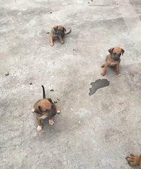 00��ô�ɰ���С����˭Ҫ������