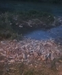 ��ͣ�Ż��ڣ������ѳ���