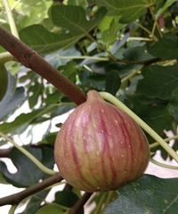 00��˵����ӿ�����