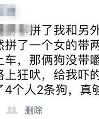 全程手汗!拼车拼到两条狗,一路狂吠,还是巨型犬!