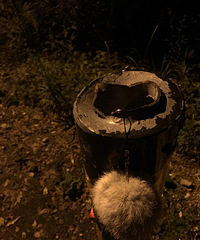 [����]��Ϊ���ٶ��ӵ�������˵˵�ҵľ���