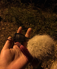 [����]��Ϊ���ٶ��ӵ�������˵˵�ҵľ���