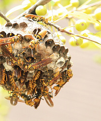 �����������ֶ�������.С���ﵽ�����ѣ�