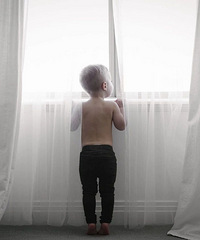 ��ʵ�桶�������ˡ�������12���к��ڼҽ�һ����ʧ�㱻���ϵ���