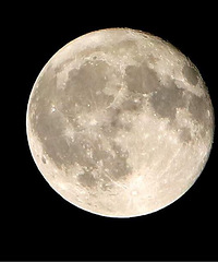 ���¼�ʱ�� �Ѿ������� ��֪���Ϲ��� ��Ϧ�Ǻ��ꣿ