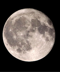 ���¼�ʱ�� �Ѿ������� ��֪���Ϲ��� ��Ϧ�Ǻ��ꣿ