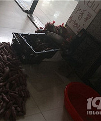 �ٰ���վ������������