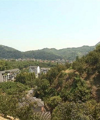 太湖源山核桃长势喜人,预计产量680吨!