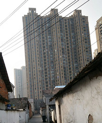 [��̬]������̶�廹��Ϊ�ص�����ʮ�����