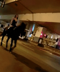 ��ҹ��������С��������������ɵ������������������������