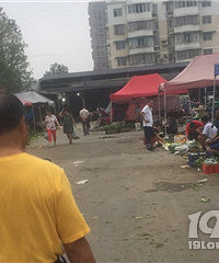 5����𴲹�˳���������