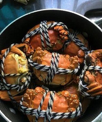 #��˾��������#���︣�����ʳ�¯