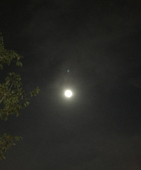 [����]�������£����Դ���ɽ�����ĵ�����