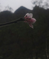 ��Ϣ����Ұ���ӣ����������һ����ִ�������