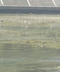 �ӵ���ˮ����æ�����ϳ������������~