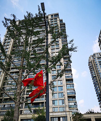 [����]�������Ǻ��죬�����˽��յ�ζ����