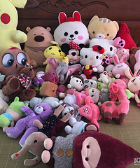 [����]��ô�죿���������ޣ����϶Ѳ�����