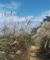 [�ȼ�]���Ǻܼ��𣿿�������������