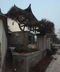 [����]��Ϊ����£���Ѯ���˱����ͷ��Ѫ��