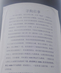 [Ѱ��]���߸������Ѱ������д����ˮƽ