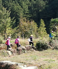 �����쳤�١�����10��7�ռ������˹�