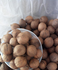 ��ô�죿��������ɽ���ң�û�з��κε�ζ��