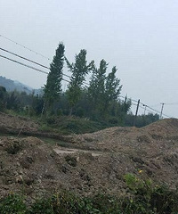 ��Ԫ�����ȡɳ��û�мල����������