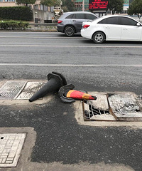 �߿���ܶ���񿾮������ȫ�����ϴ�